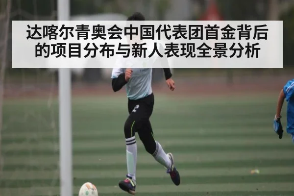 达喀尔青奥会中国代表团首金背后的项目分布与新人表现全景分析