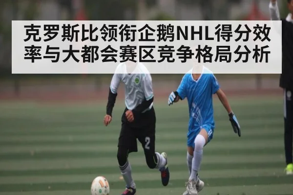 克罗斯比领衔企鹅NHL得分效率与大都会赛区竞争格局分析